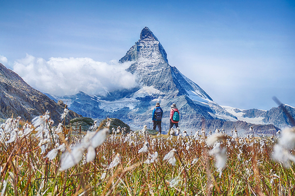 why choose alpexcursion
