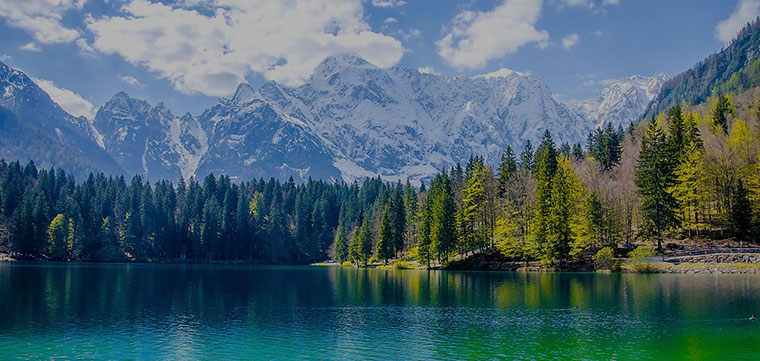 switzerland tours excursion